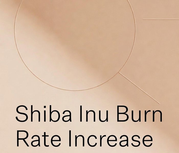 Shiba Inu Burn Rate Increase: Structural Deflation Analysis and Network Impact